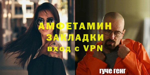 прущие грибы Белокуриха