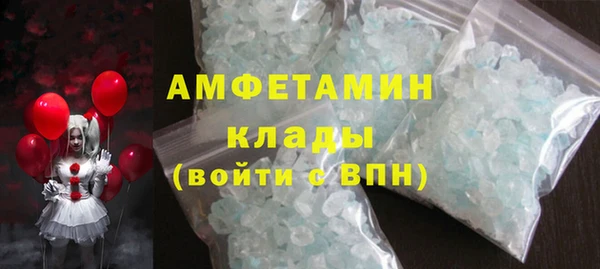 прущие грибы Белокуриха