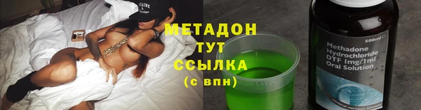 прущие грибы Белокуриха