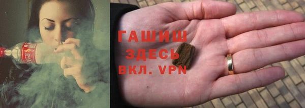 прущие грибы Белокуриха