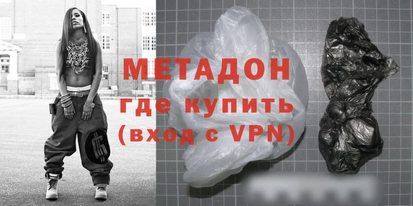 прущие грибы Белокуриха