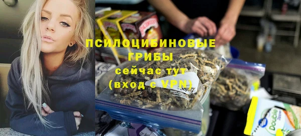 винт Слюдянка